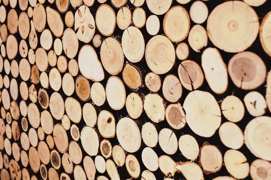 L'objet en bois: pourquoi fait-il la différence dans un intérieur
